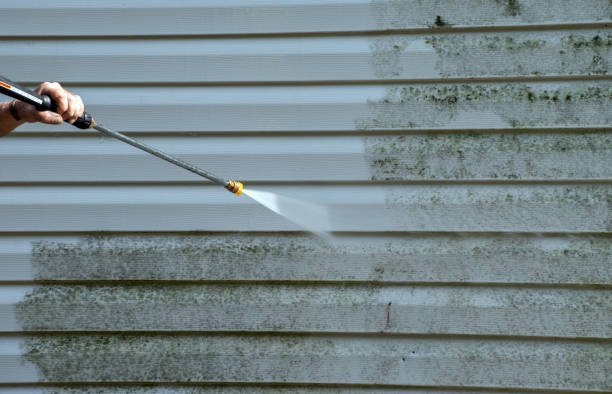 Best Mold Remediation  in Hornsby Bend, TX